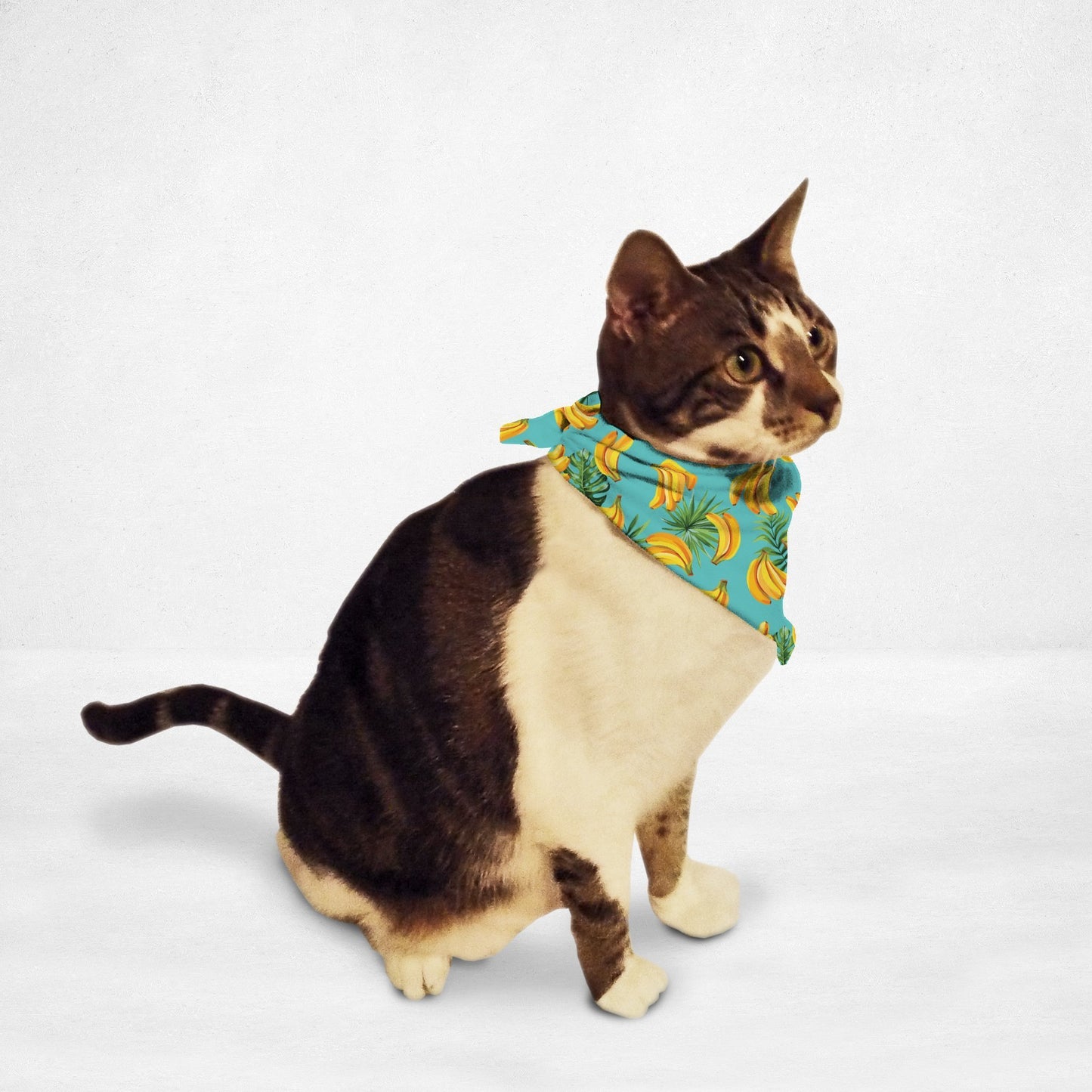 Going Bananas Cat & Dog Bandana